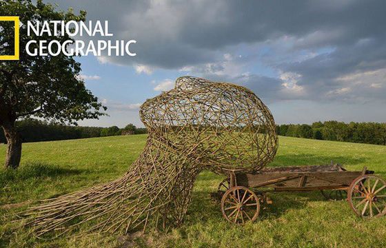 Cykl „Lubelskie? Naturalnie” w National Geographic