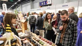 Expo2Bee. Najważniejsze spotkanie pszczelarskie w Polsce już wiosną