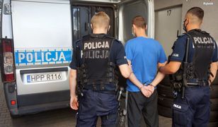 Rybnik. Zgłosił zabicie szczeniaków, sam był zamieszany