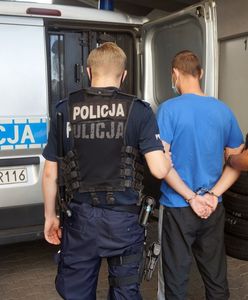 Rybnik. Zgłosił zabicie szczeniaków, sam był zamieszany