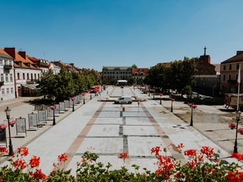 Rynek Starego Miasta w Płocku przejdzie metamorfozę. Będzie więcej zieleni, drzew i ławek!