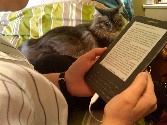 Polacy nie chcą czytać książek? Dajcie im tanie e-booki, to zaczną. Book Rage pokazuje, że ta metoda działa 3
