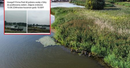 Podlewali wodą z Odry miejską zieleń? We Wrocławiu trwa wyjaśnianie