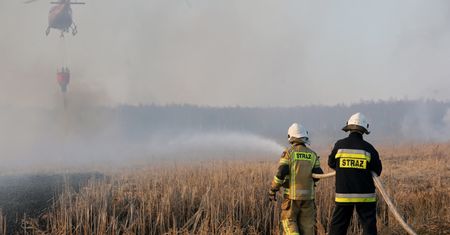 Pożar w Biebrzańskim Parku Narodowym. Chmura dymu nadciąga nad Warszawę