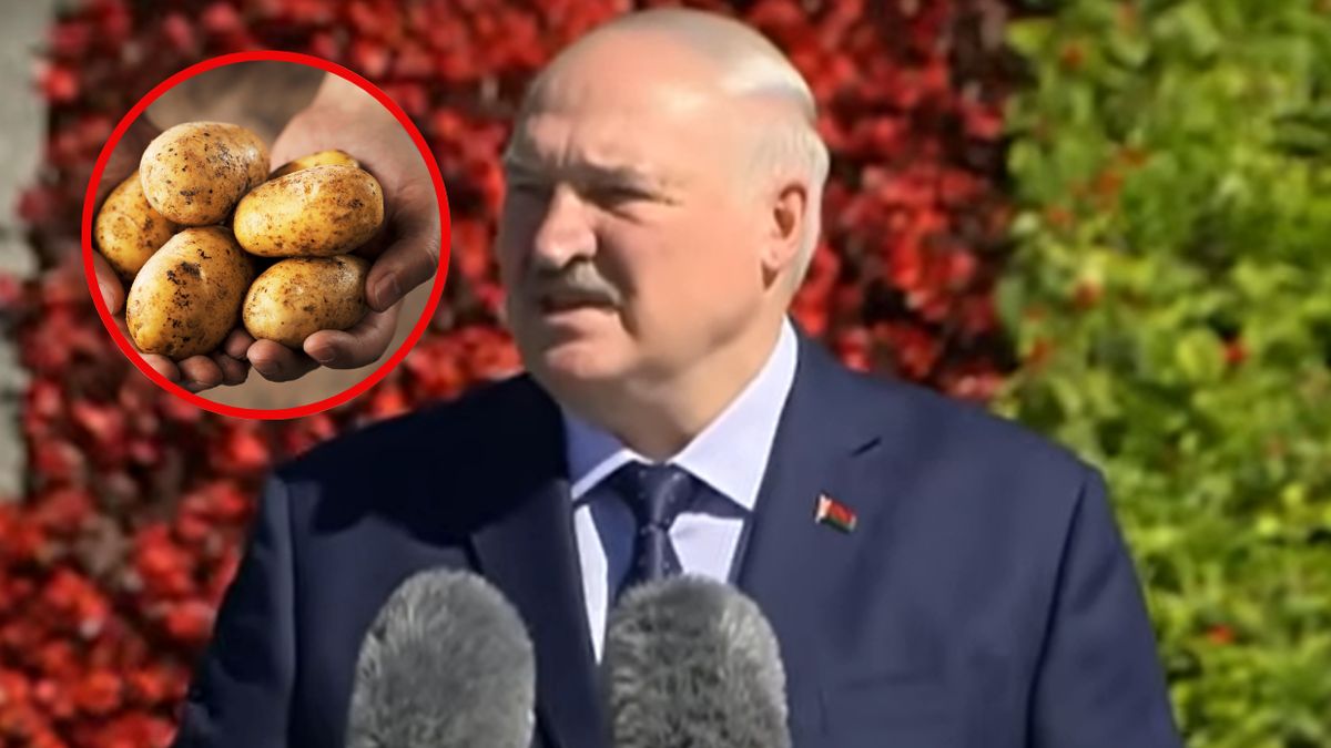 Jak Łukaszenka zamierza rozwiązać problem z ziemniakami?