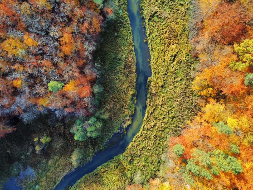 Piękno polskiej jesieni na zdjęciach naszych czytelników. W tym roku jest wyjątkowa! 18