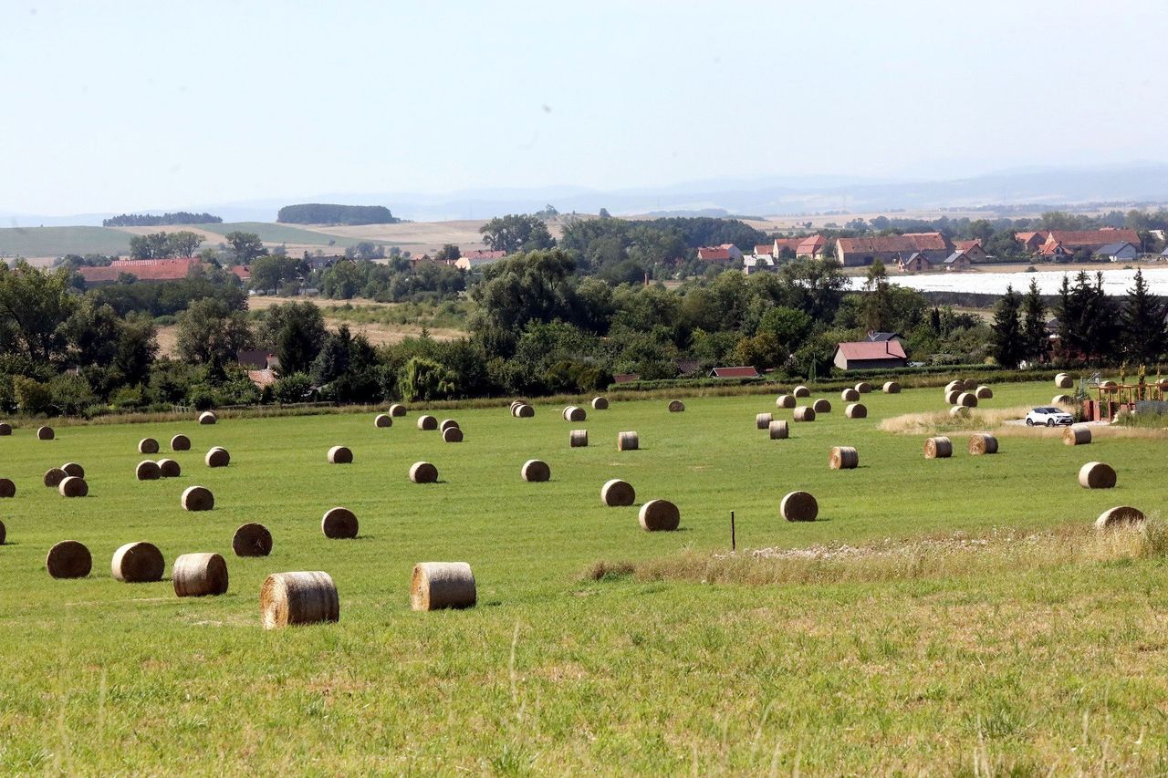 Szykuje się nowy urząd dla rolników. Czy Rzecznik Rolników zmieni ich codzienność?