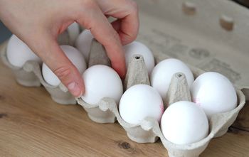 Kartony po jajkach wyrzucaj do tego kosza. Wiedziałeś o tym?