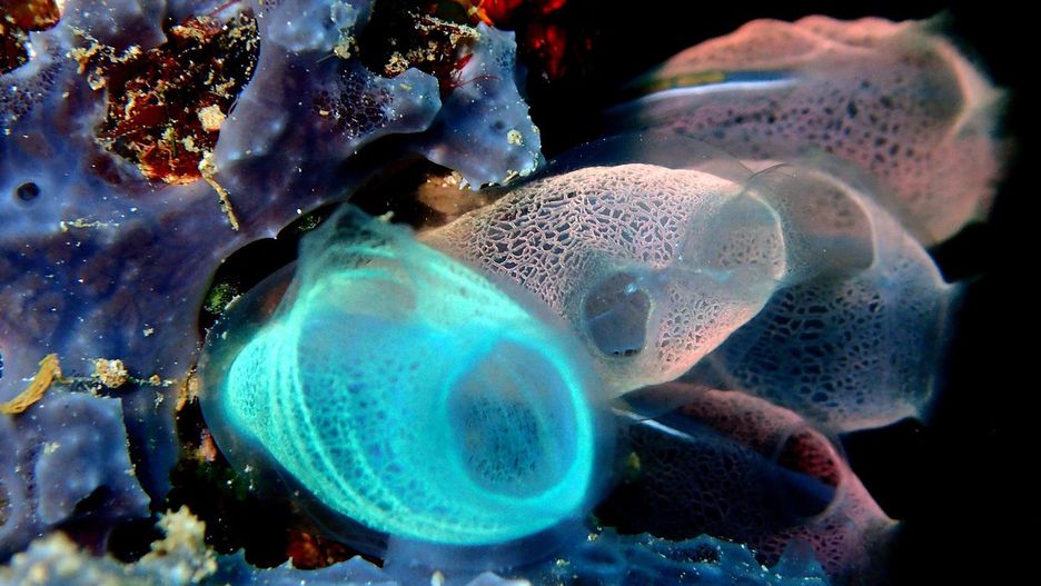 fot. Kevin Mc Loughlin z Pixabay