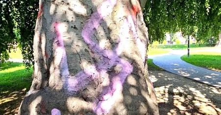 Oto co zrobili z dwustuletnim drzewem. "Zostało zbezczeszczone"
