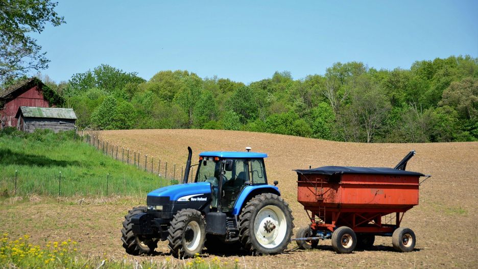 Wyższa premia ma przekonać młodych do pozostania na wsi i hodowli