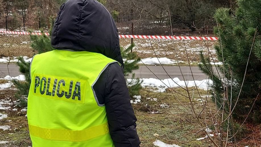 Zwłoki przy drodze. Policja zatrzymała podejrzanego o zabójstwo