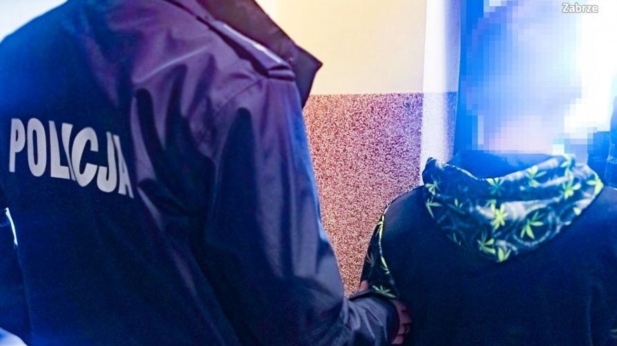 Zabrze. 18-latkowi za atak nożem grozi dożywocie.