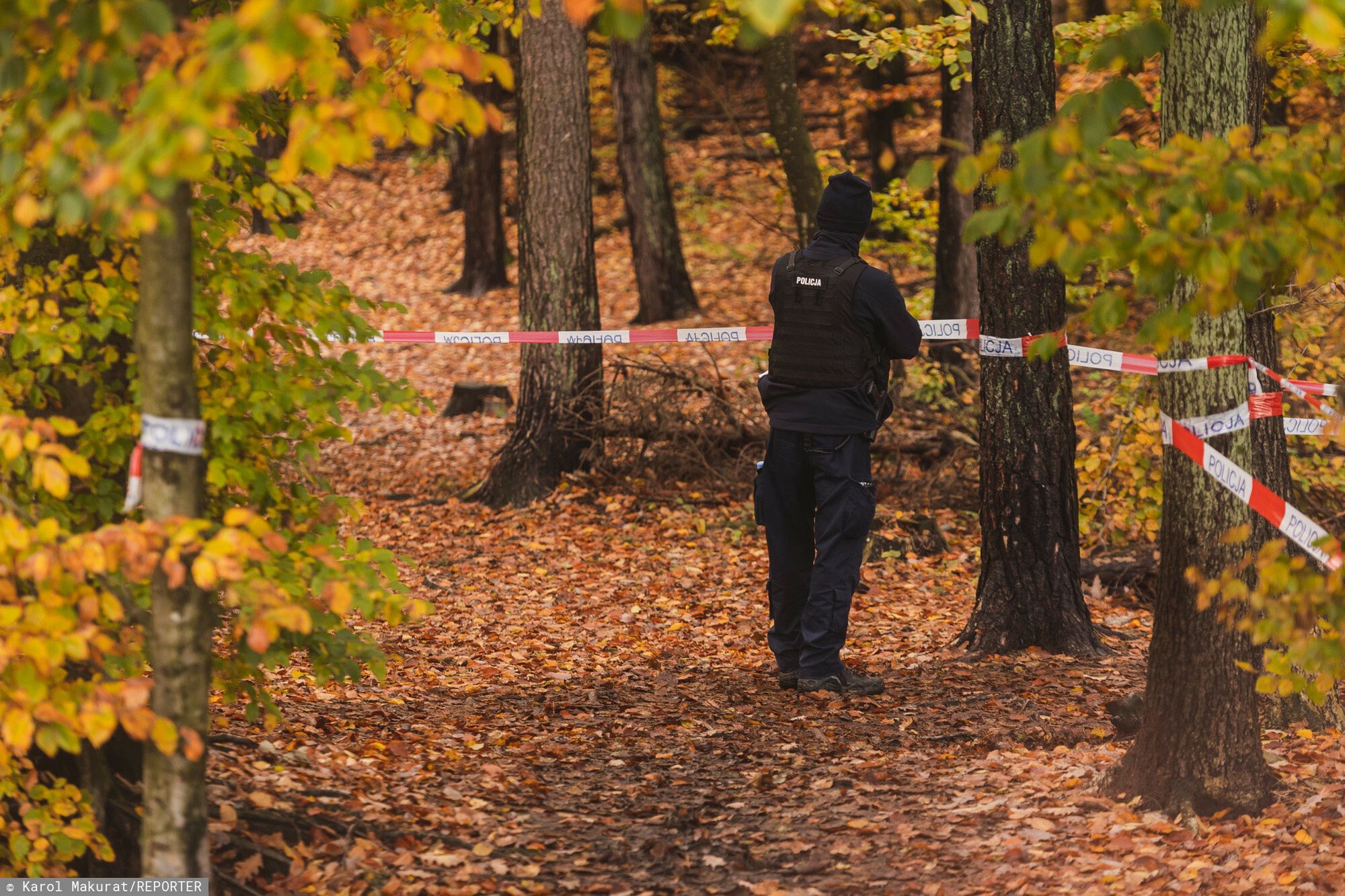 Poszukiwania Grzegorza Borysa