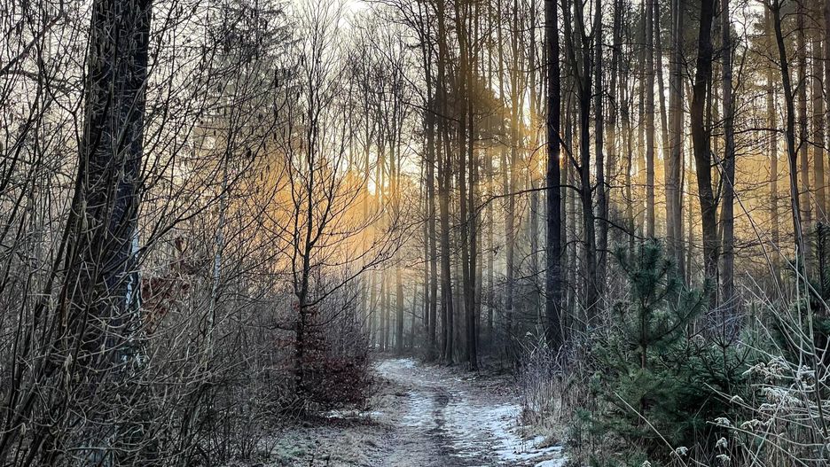 Pogoda. Wrocław. 19 marca - kolejny dzień ze śniegiem. Zima potrwa do poniedziałku