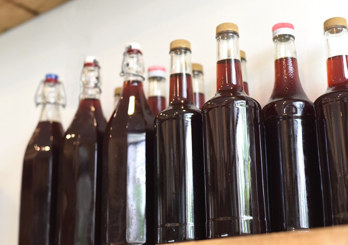 Chroni przed rakiem, opóźnia proces starzenia. Owoce możesz zbierać już teraz