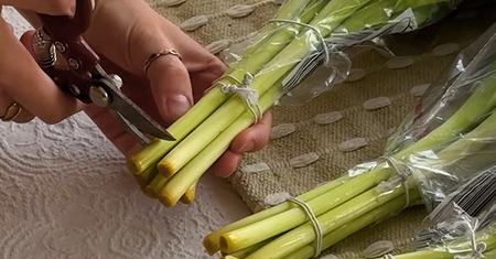 Patent na tulipany. Zrób tak, nim włożysz do wazonu. Postoją dłużej