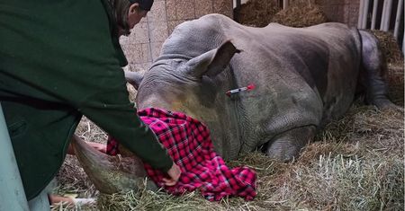 Złe wieści z zoo. "Natychmiast wezwaliśmy pomoc"