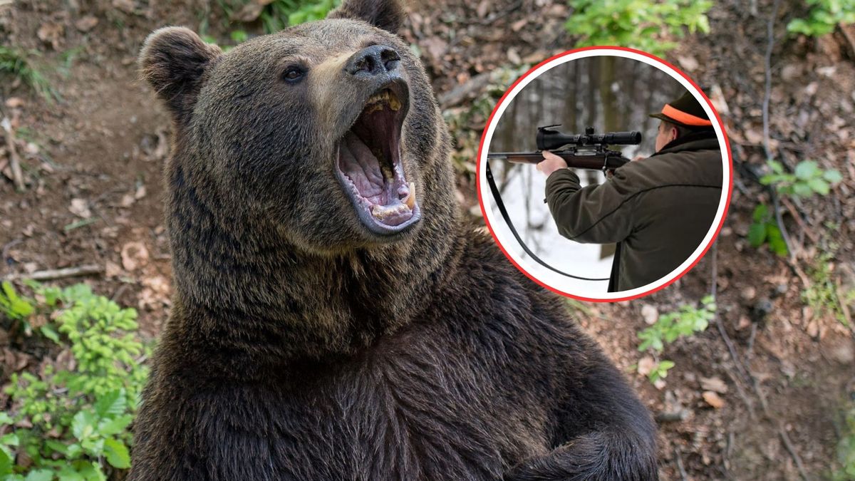 Tragiczna śmierć w lesie. Jest komentarz myśliwych