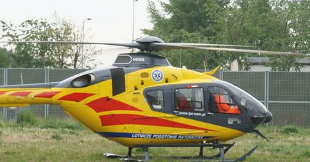 Śmiertelne ukąszenie na Śląsku. 46-latka nie przeżyła