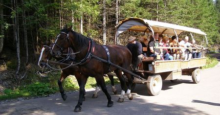 Polacy złapią się za portfele. To obecna cena przejazdu nad Morskie Oko