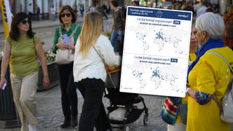 Ścięli liczbę komisji za granicą. W PiS oburzenie. "Hipokryzja"