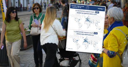 Ścięli liczbę komisji za granicą. W PiS oburzenie. "Hipokryzja"