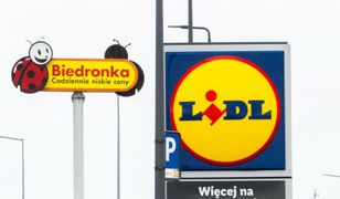 Bardzo tanie jaja w dyskontach. Ekspert tłumaczy, ile powinny kosztować