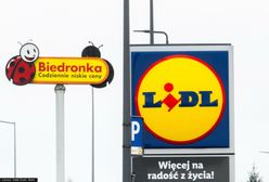 Bardzo tanie jaja w dyskontach. Ekspert tłumaczy, ile powinny kosztować