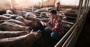 Dofinansowanie na bioasekurację 2025 – do rozdania prawie 176 mln zł