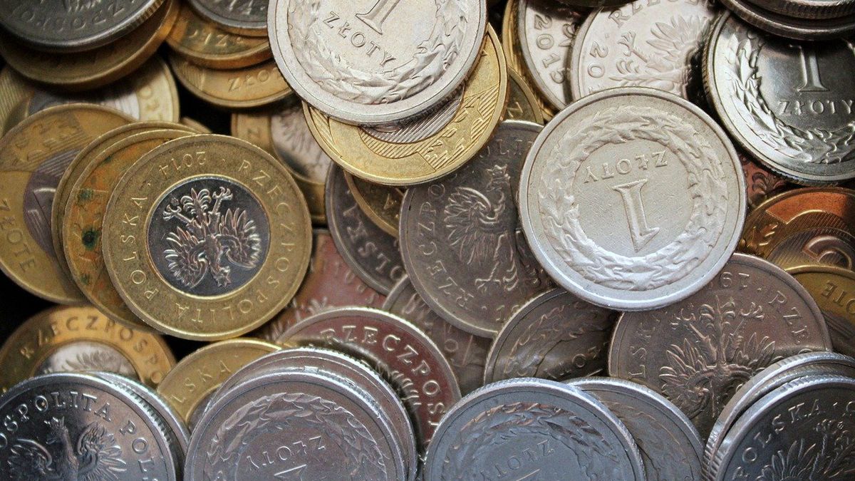 Czy bezwarunkowy Dochód Podstawowy to dobry pomysł?