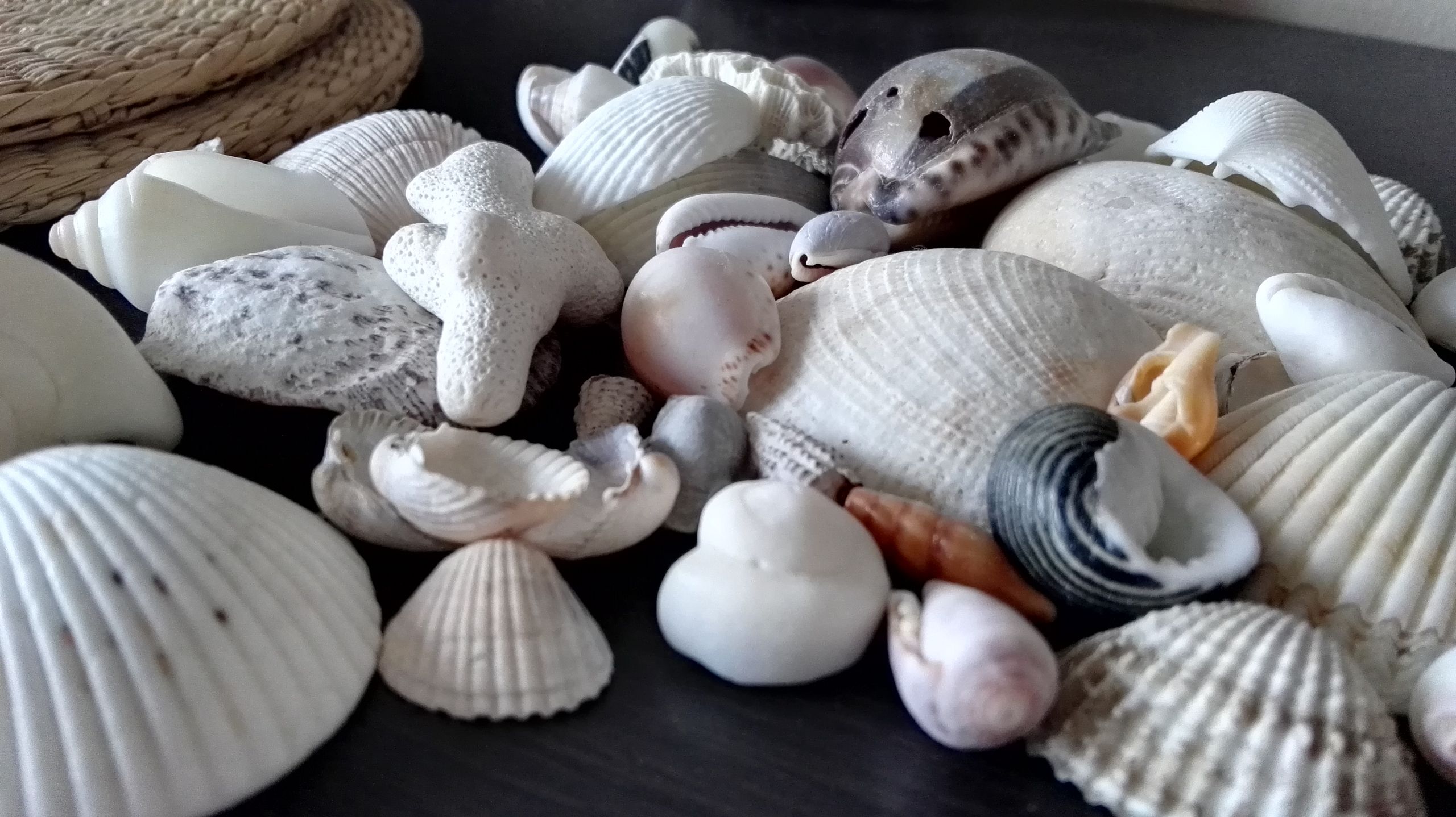 Huawei P8 - test i recenzja 26