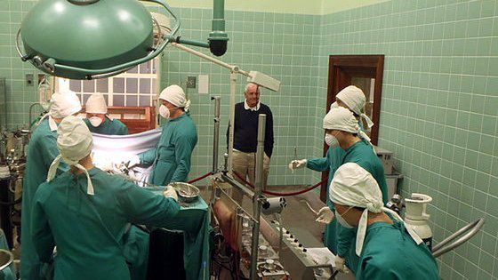 Verdi i Mozart wspierają przeszczepy serca 1