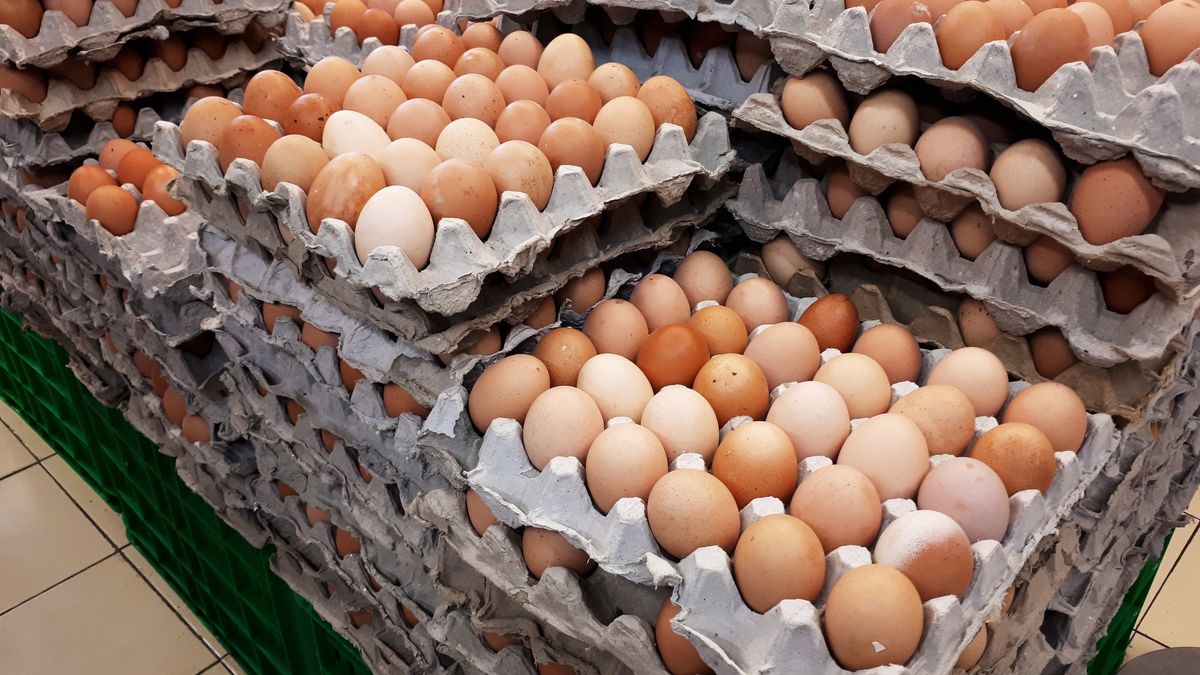 IJHARS przyjrzała się jakości jajek dostępnych w sprzedaży