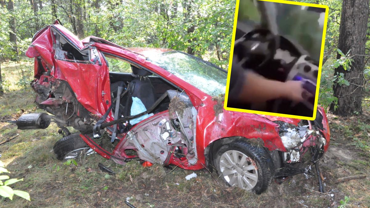 Wypadek pod Warszawą. W aucie wszyscy pijani. Kierował 17-latek bez uprawnień