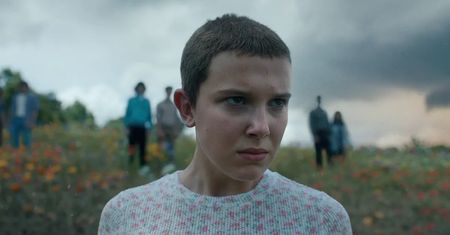Wygląda zupełnie inaczej. Przeszła metamorfozę do nowej roli