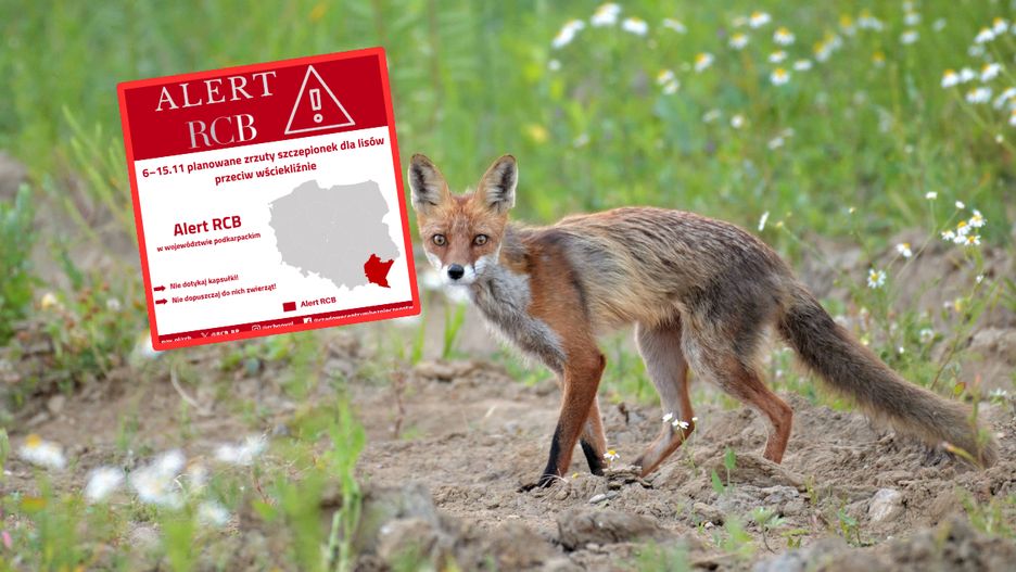 RCB wydało ostrzeżenia