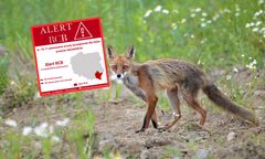 Wydano alert RCB. Obowiązuje w jednym województwie
