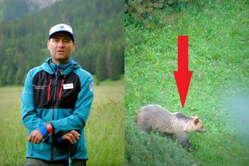 Niedźwiedź na szlaku? Tego pod żadnym pozorem nie rób