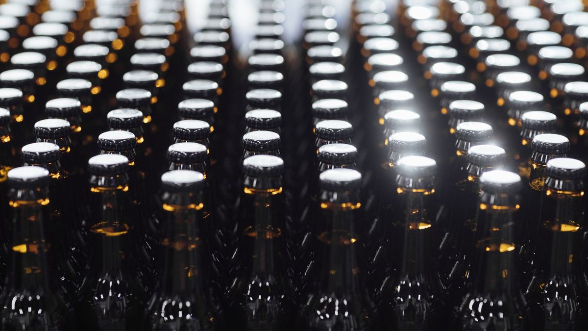 Beer Bottles in Close Up
Numerous bottles of artisanal beer ready for labelling and distribution.
FreshSplash
