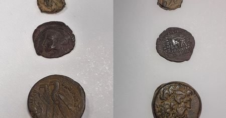 Skarb sprzed 2 tys. lat w przesyłce pocztowej. Do akcji wkroczyły służby