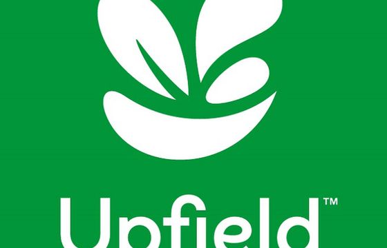 Upfield wchodzi w segment roślinnych zamienników jaj