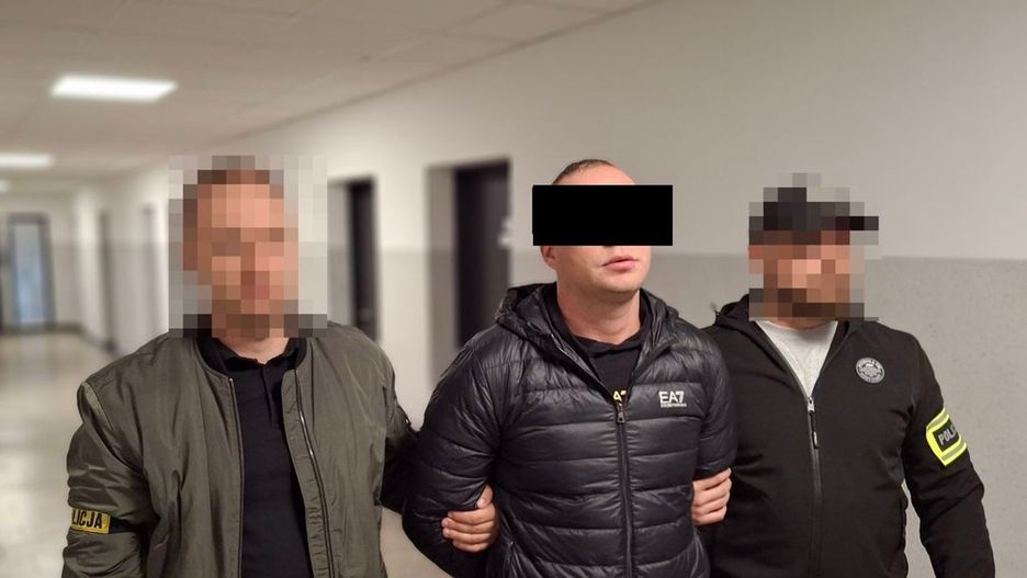 Fot. Licencjodawca