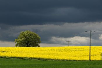 IMGW ostrzega: w poniedziałek nadciągają burze z gradem