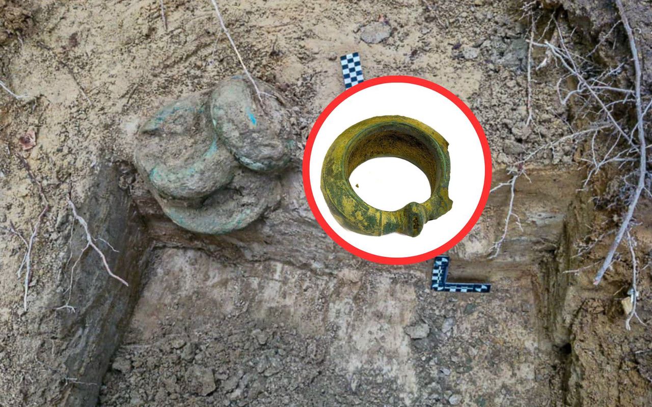 Odkrycie w lesie na Pomorzu. "Takiego znaleziska nie było"