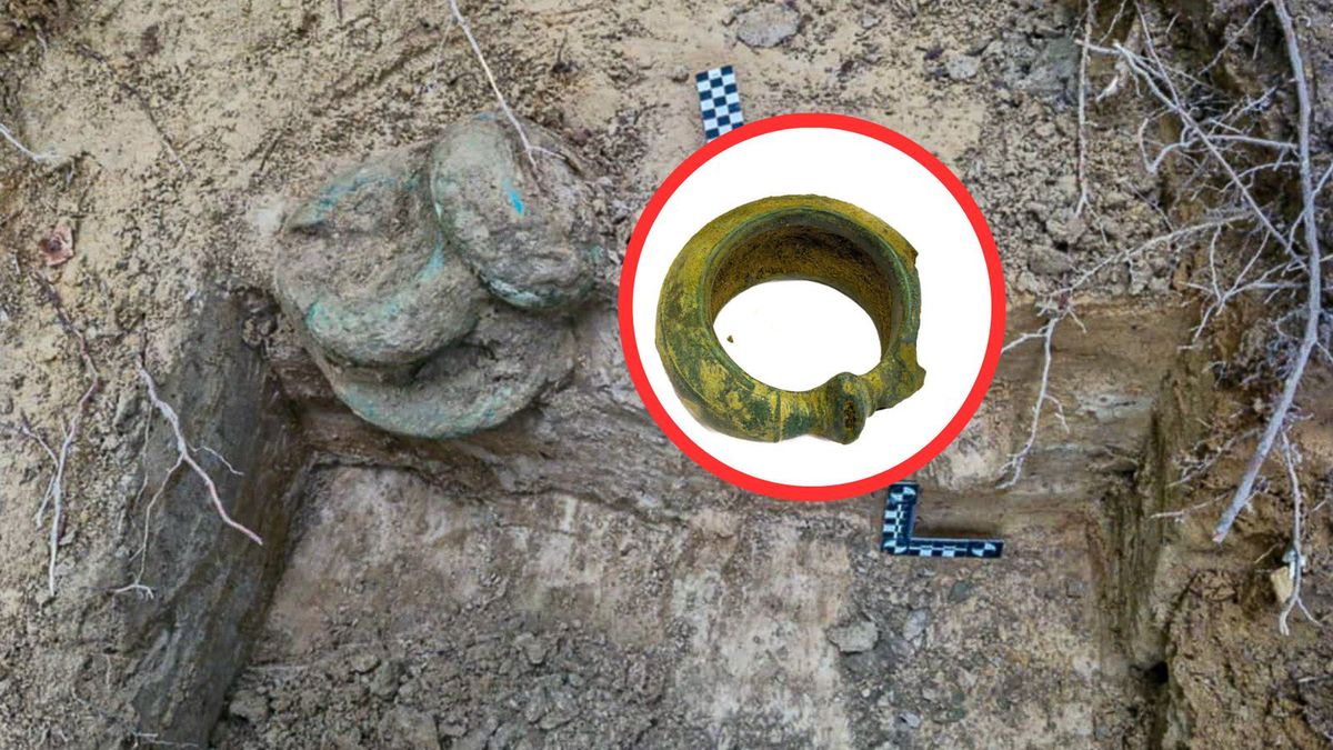 Poszukiwacze znaleźli skarb w Nadleśnictwie Gdańsk