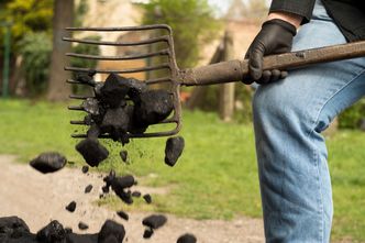 Dodatek węglowy. Ekspert: 3 tys. zł "nie pozwoli kupić całego węgla na zimę"