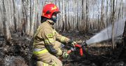 Dyrektor Biebrzańskiego parku Narodowego odwołany po audycie przeciwpożarowym