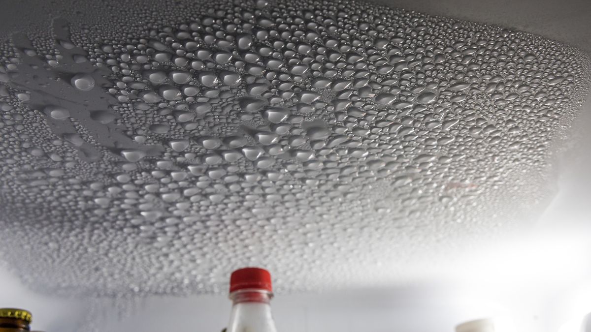 Condensation drops on a refrigerator
Condensation drops on a refrigerator, Oleiros, A Coruna, Galicia, Spain
Santiago Urquijo