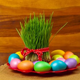 Jajka we wszystkich kolorach tęczy, barwione naturalnymi składnikami